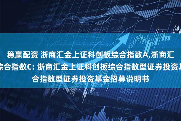 稳赢配资 浙商汇金上证科创板综合指数A,浙商汇金上证科创板综合指数C: 浙商汇金上证科创板综合指数型证券投资基金招募说明书