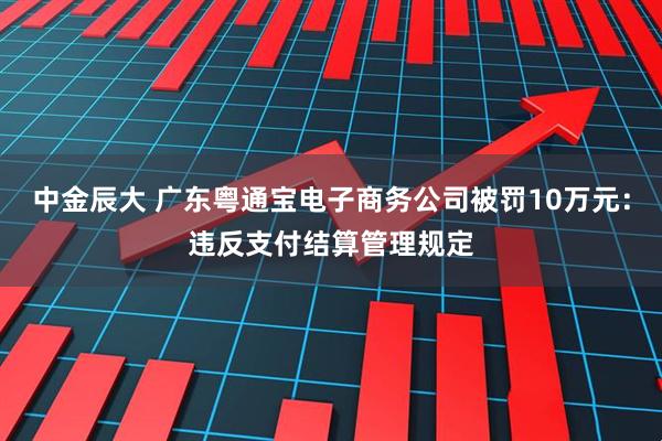 中金辰大 广东粤通宝电子商务公司被罚10万元：违反支付结算管理规定