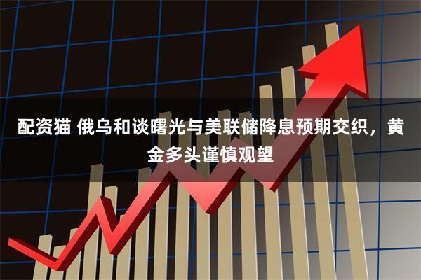 配资猫 俄乌和谈曙光与美联储降息预期交织，黄金多头谨慎观望