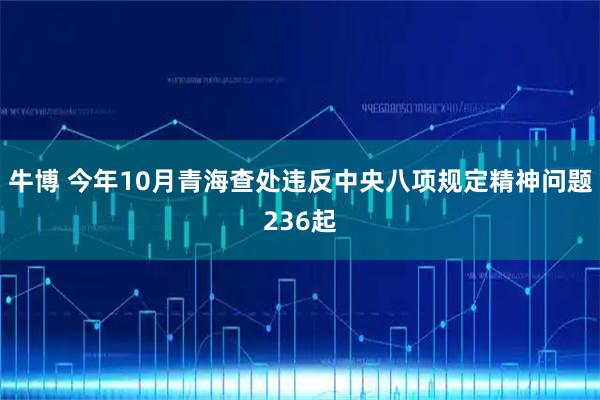 牛博 今年10月青海查处违反中央八项规定精神问题236起