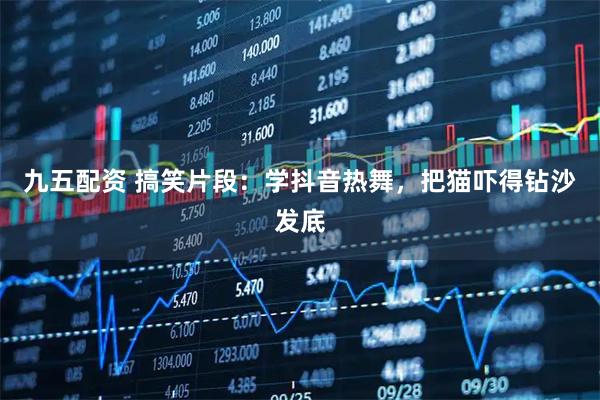 九五配资 搞笑片段:学抖音热舞,把猫吓得钻沙发底