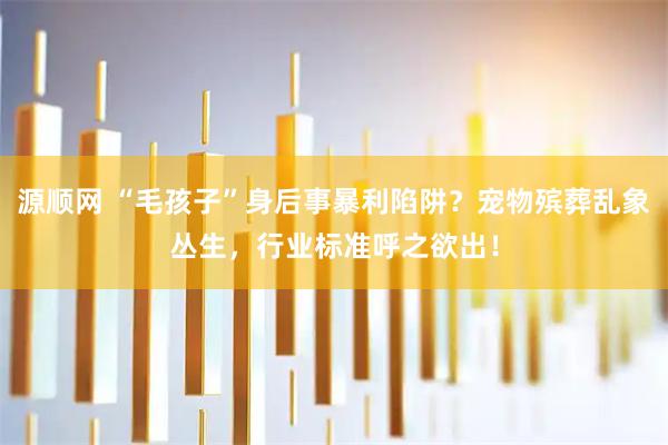 源顺网 “毛孩子”身后事暴利陷阱?宠物殡葬乱象丛生,行业标准呼之欲出!