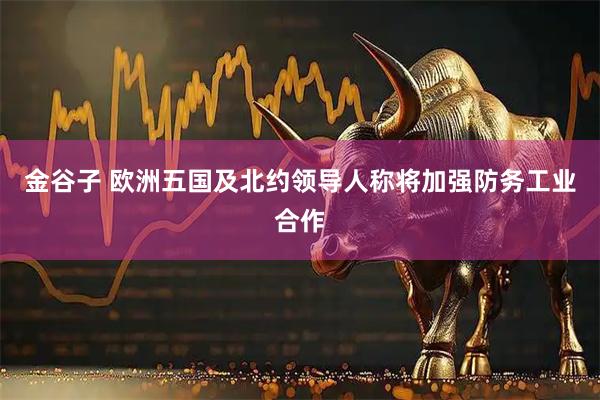 金谷子 欧洲五国及北约领导人称将加强防务工业合作